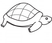 Coloriage Tortue couleur