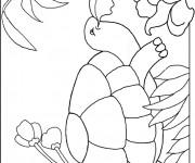 Coloriage Tortue en train de manger