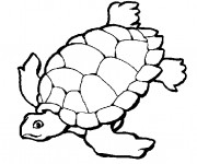 Coloriage Tortue en train de nager