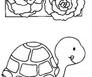 Coloriage Tortue et son repas