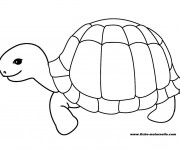 Coloriage Tortue heureuse