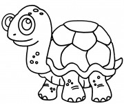 Coloriage Tortue portant des lunettes