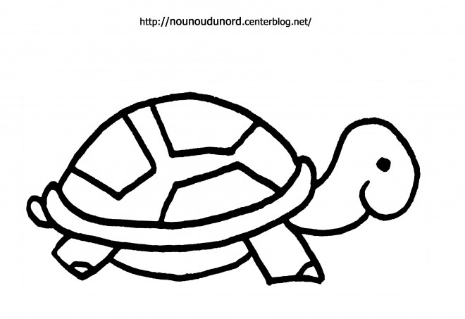 Coloriage Tortue Pour Enfant Dessin Gratuit à Imprimer