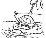 Coloriage Tortue sur une île