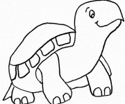 Coloriage Tortue terrestre