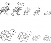 Coloriage Tortues et souris