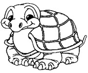 Coloriage Une petite Tortue