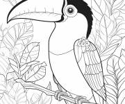 Coloriage Beau toucan dan la jungle &agrave; peindre