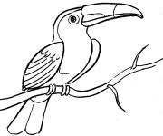 Coloriage et dessins gratuit Dessin de toucan imprimable à imprimer