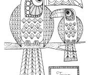 Coloriage Deux toucans zentangle