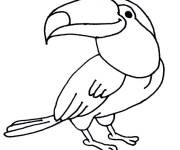 Coloriage Illustration facile de toucan