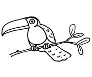 Coloriage et dessins gratuit Image toucan sur branche en noir et blanc à imprimer
