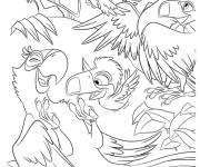 Coloriage La famille des toucans s'amusent