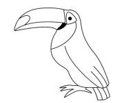 Coloriage et dessins gratuit Le toucan facile à imprimer