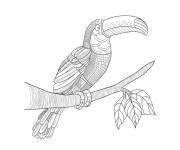 Coloriage Mandala oiseau toucan complexe
