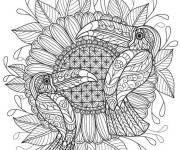 Coloriage Mandala toucan difficile