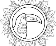 Coloriage Mandala toucan pour enfants