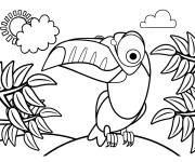 Coloriage Oiseau toucan de dessin anim&eacute; avec le regard humoristique