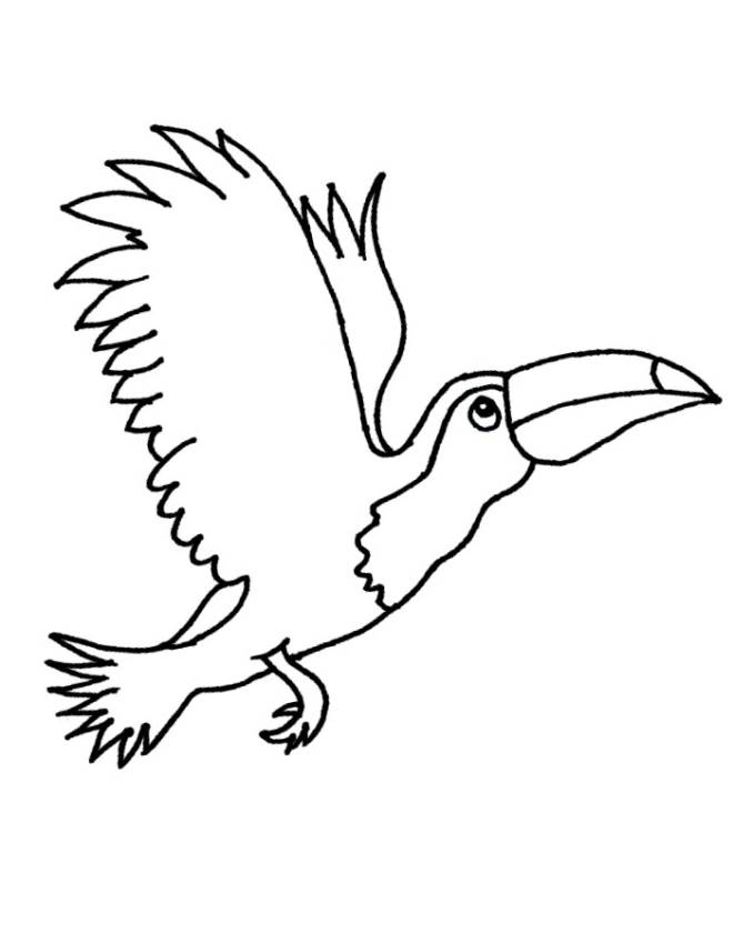 Coloriage Oiseau toucan simple en noir et blanc dessin gratuit à imprimer