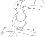 Coloriage Petit toucan joyeux facile