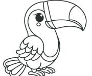 Coloriage et dessins gratuit Petit toucan kawaii à imprimer