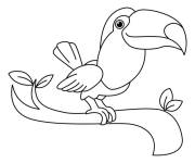 Coloriage Petit toucan mignon sur branche