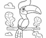 Coloriage et dessins gratuit Toucan &agrave; cr&ecirc;te à imprimer