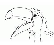 Coloriage et dessins gratuit Toucan adulte avec un tr&egrave;s grand bec à imprimer
