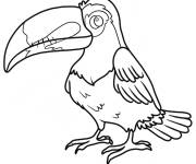 Coloriage Toucan adulte simple