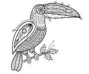 Coloriage Toucan artistique difficile