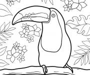 Coloriage Toucan avec des fleurs et des feuilles d'arbre