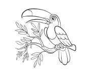 Coloriage Toucan avec un gros bec