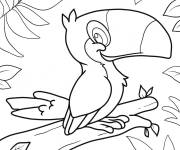 Coloriage Toucan chibi