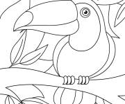 Coloriage Toucan de dessin anim&eacute;