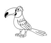 Coloriage Toucan dr&ocirc;le en couleurs