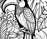 Coloriage Toucan en noir et blanc à télécharger