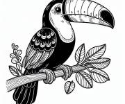 Coloriage Toucan en noir et blanc sur ordinateur