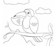 Coloriage Toucan en plein air de dessin anim&eacute;