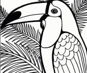 Coloriage Toucan en vecteur