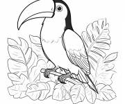 Coloriage Toucan et feuilles 