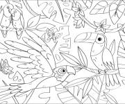 Coloriage Toucan et perroquet