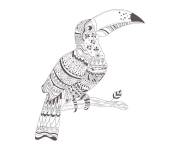 Coloriage Toucan mandala anti-stress
