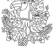 Coloriage Toucan mandala facile