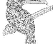 Coloriage Toucan mandala pour adulte