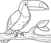 Coloriage Toucan oiseau de dessin animé