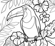 Coloriage Toucan perché ps