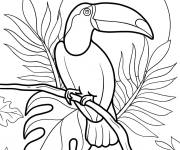 Coloriage Toucan perché sur une branche