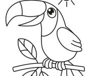 Coloriage Toucan plumages