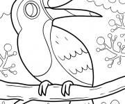 Coloriage Toucan riant dans la foret