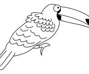 Coloriage Toucan rigolo